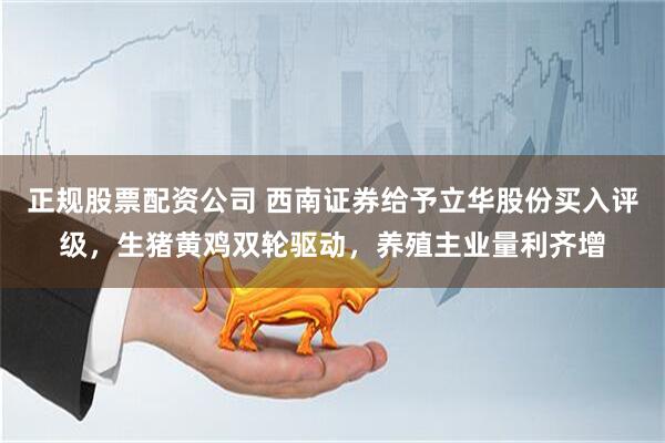 正规股票配资公司 西南证券给予立华股份买入评级，生猪黄鸡双轮驱动，养殖主业量利齐增