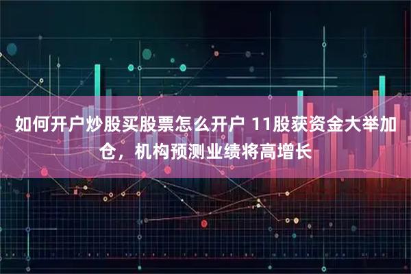 如何开户炒股买股票怎么开户 11股获资金大举加仓，机构预测业绩将高增长